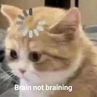 Brain not braining