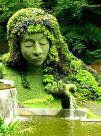 This mosaiculture