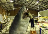 This Megalodon sculpture