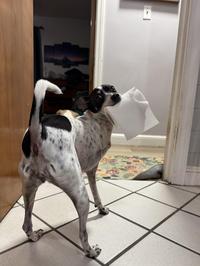 Get back here