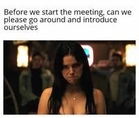 Before we start the meeting, can we please go around and introduce ourselves