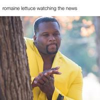 romaine lettuce watching the news. SUPE