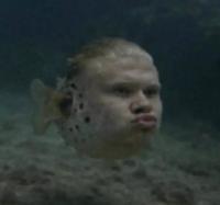 Herring Haaland | /r/dankmemes