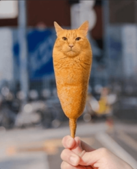 Your cat is damn corndog wtf