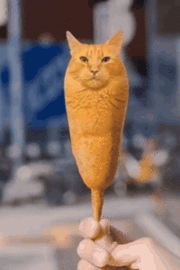 Corn Dog Cat Dissolve GIF
