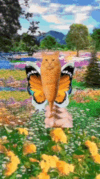 Corn Dog Cat Explosion GIF