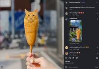 lovemyorangekitty. Follow lovemyorangekitty Back and better than ever! 231w ilovecorndogcat 06 8w 7 likes Reply gagemyers62 42w 8 likes Reply mrtomsmagictowel So cute! 216w 1 like Reply plumouchka e 228w Reply 140 likes February 23, 2022 Add a comment... Σ Post