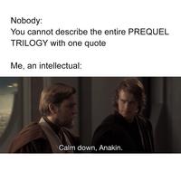 Nobody: You cannot describe the entire PREQUEL TRILOGY with one quote Me, an intellectual: Calm down, Anakin.