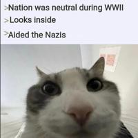 Well this has to be awkward for Spain, Switzerland, and Sweden | History Memes >Nation was neutral during WWII >Looks inside >Aided the Nazis