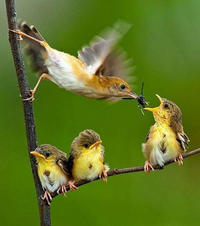 A sweet family