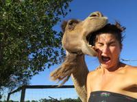 Chomp