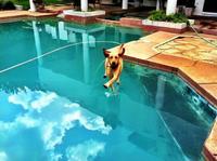 Walking on water