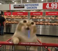 KIRKLAND ROTISSERIE ignature CHICKEN CAUTION CHICKEN HOT 4.99 ROTISSERIE CAUTION HOT COSTCO WHOLESALE