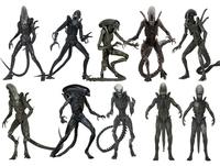 Neca xenomorph evolution 
