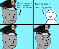 flock cameras will prevent then we won't need any police. 100% of crime. 1