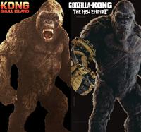 KONG SKULL ISLAND D GODZILLA-KONG THE NEW EMPIRE D