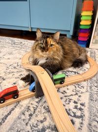 You shall not pass