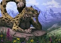Alpine meadow by Shiroashi