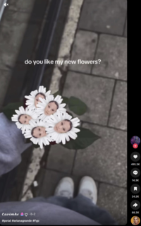 do you like my new flowers? Caoimhe 62-8-2 #petal #arianagrande #fyp + 495.3K 14.3K 24.2K 88.3K