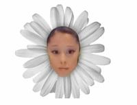 petal