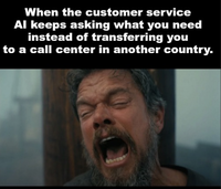 When the customer service Al keeps asking what you need instead of transferring you to a call center in another country.