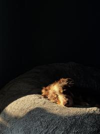 Afternoon nap