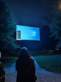 Windows in the park