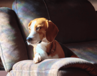 Deep in thought