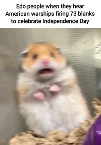 Edo people when they hear American warships firing 73 blanks to celebrate Independence Day