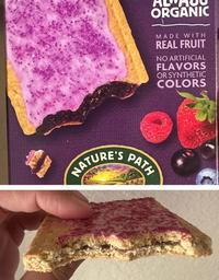 ATURE'S PAT ORGANIC MADE WITH REAL FRUIT NO ARTIFICIAL FLAVORS OR SYNTHETIC COLORS
