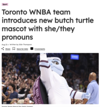 Sport Toronto WNBA team introduces new butch turtle mascot with she/they pronouns Aug 21 Written by Siân Thompson & Share ☐ Save for later 3 Comments Toronto Tempo Mascot Dez (Getty Images)