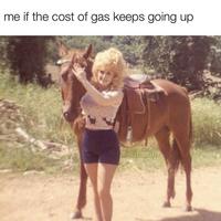 me if the cost of gas keeps going up @dltoots