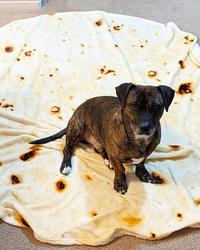 Tortilla blanket