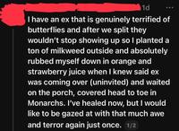1d I have an ex that is genuinely terrified of butterflies and after we split they wouldn't stop showing up so I planted a ton of milkweed outside and absolutely rubbed myself down in orange and strawberry juice when I knew said ex was coming over (uninvited) and waited on the porch, covered head to toe in Monarchs. I've healed now, but I would like to be gazed at with that much awe and terror again just once. 1/2