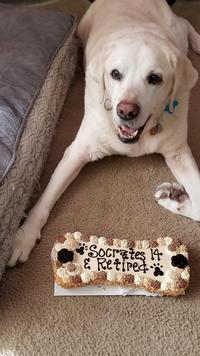 Socrates 14 & Retired