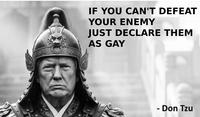 IF YOU CAN'T DEFEAT YOUR ENEMY JUST DECLARE THEM AS GAY - Don Tzu