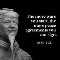 The more wars you start, the more peace agreements you can sign. DON TZU elza_meme