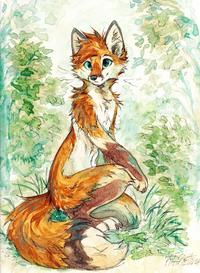Red fox by Kitakettu