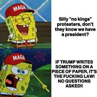 MAGA Silly "no kings" protesters, don't they know we have a president? 2 NICK'S DANK MEMES MAGA IF TRUMP WRITES SOMETHING ON A PIECE OF PAPER, IT'S THE F------ LAW! NO QUESTIONS ASKED!!