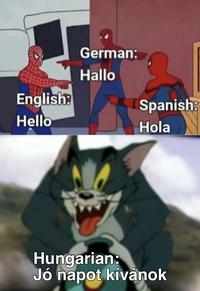 English: Hello German: Hallo Spanish Hola Hungarian: Jó napot kívánok