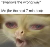 *swallows the wrong way* Me (for the next 7 minutes):