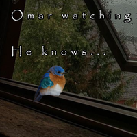 mar watching Omar He knows..