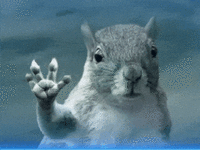 Superman Tornado Squirrel GIF