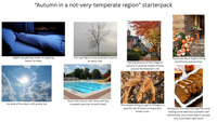 "Autumn in a not-very-temperate region" starterpack Nights are getting cooler; it's getting easier to sleep The cool fog is a nice surprise if you're an early riser the bulk of the day is still pretty hot Pool's still nice to visit--and a lot less crowded now that school's back. Getting envious of the image of autumn in popular media (mostly around Northeastern US) Hyperreal decor begins lining storefronts and porches The closest thing you get to foliage is a specific set of trees turning a dull brown color Giving into the arbitrary signifiers and making some delicious pumpkin loaf (technically, you could make it all year but it just feels right here)