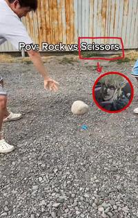 Pov: Rock vs Scissors.