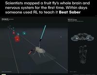 Scientists mapped a fruit fly's whole brain and nervous system for the first time. Within days someone used RL to teach it Beat Saber Among Us Trap Remix Leonz Hard 188 BPM 4 NEURAL ACTIVITY 165,122 neurons 25.56M connections 135 foreleg motor neurons NEURAL MOTOR REHEARSAL Activity 0-200+ Hz