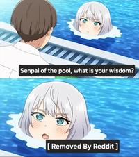 Senpai of the pool, what is your wisdom? [Removed By Reddit ]
