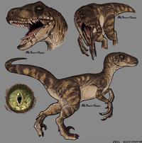 BLSWIFT THIEF BLSWIFT THIEF BLSWIFT THIEF 1993 VELOCIRAPTOR