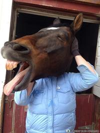 PERFECTLY TIMED PHOTOS.COM