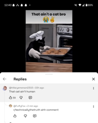 12:40 ← Replies That ain't a cat bro 189% Starrystical @hillaryemerson2315 • 15h ago That cat ain't human B39 @FuffyFox • 2 min ago r/technicallythetruth ahh comment B ✗ ÷